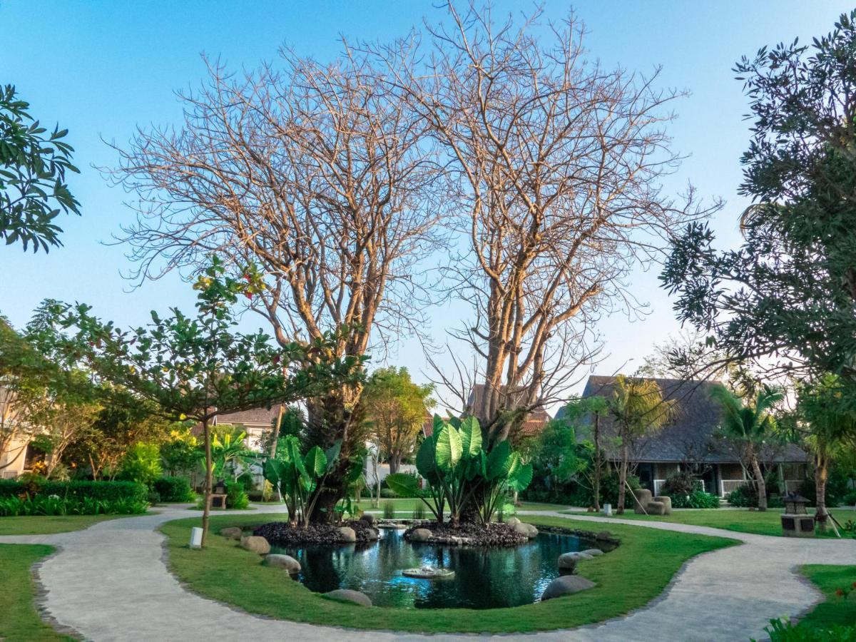 Sudamala Resort, Komodo, Labuan Bajo Ngoại thất bức ảnh The twin trees at the centre of the resort